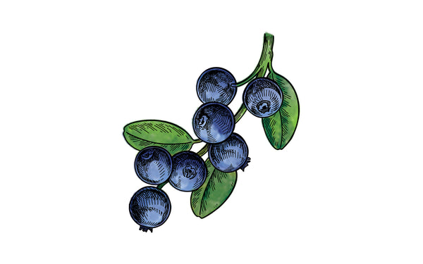 Blueberries